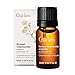 Gya Labs Organic Roman Chamomile Essential Oil for Diffuser - 100% Pure Natural Organic Roman Chamomile Oil for Skin & Hair, Relaxing Natural Aromatherapy (0.34 Fl Oz)
