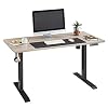 LINSY HOME Standing Desk, 55 Inch Electric Adjustable Height Desk for Home Office, Stand Up Ergonomic Table, Greige Wood…