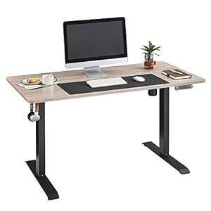 LINSY HOME Standing Desk, 55 Inch Electric Adjustable Height Desk for Home Office, Stand Up Ergonomic Table, Greige Wood…