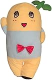 ふなっしー 添い寝抱き枕 BIG(全長：約60cm) (千葉県船橋市 非公認ご当地キャラクター)