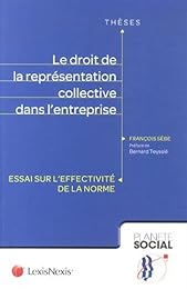 Le  droit de la représentation collective dans l'entreprise