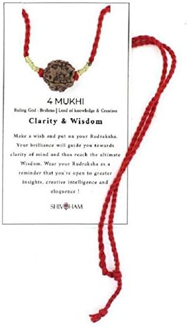 Shivoham 4 Mukhi Rudraksha Rudraksha