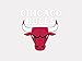 Wincraft NBA Chicago Bulls Perfect Cut Color Decal, 4