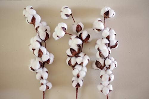 ZenEleven 3 Pack 21 Inch Cotton Stems Farmhouse Style Display Filler - Floral Decoration