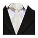 CAOFENVOO Beige Neckties Silk Mens Tie with Gift Box for Men Hanky Set