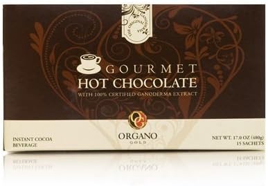 Gourmet Hot Chocolate