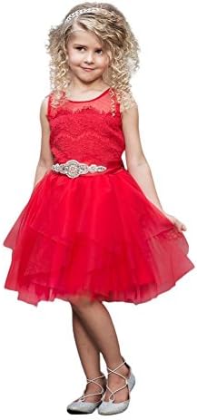 Think Pink Bows Girls Red French Lace Fairy Tale Flower Girl Dress 1Y-6