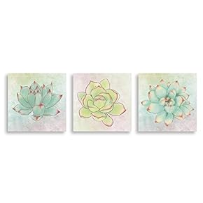 3Piece Canvas Wall Art - Succulent Plant - Canvas Prints Home Artwork Decoration for Living Room,Bedroom - 12"x12"x3 Panels