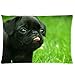 InterestPrint Custom Black Funny Pug Dog Rectangle Pillowcase Standard Size 20