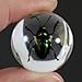 REALBUG Beetle Marbles 4pcs Set