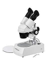 AmScope SE305 P Binocular Microscopio Estéreo, WF10 x oculares, 10 x y 30 x Ampliación, 1 x y 3 x objetivos, iluminación halógena, reversible blanco negro superior e inferior etapa placa, Pilar Soporte, 120 V