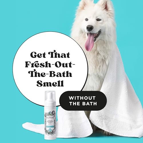 POO-POURRI RINSE-FREE DEODORIZING DRY SHAMPOO FOR DOGS & CATS – MOISTURIZING SKIN & COAT SOOTHING FORMULA – PLANT BASED INGREDIENTS – PINEAPPLE, JASMINE & PEAR – NO RINSE FOAM SHAMPOO FOR PET ODOR