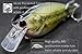 wLure Minnow Crankbait for Bass Fishing Bass Lure Jerkbait Fishing Lure (HC25KB, with Tackle Box)
