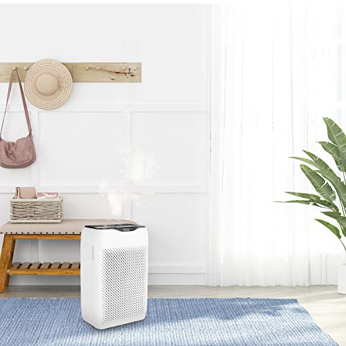 couply Air Purifier with True HEPA Filter, Air Cleaner for Home