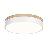 WOKNOS Modern Dimmable LED Close to Ceiling Light