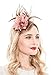 Fascinators Headband for Women Tea Party Hat Kentucky Derby Wedding Flower Mesh Feathers Hair Clip (Coffee)