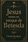 Livro Jesus estava no tanque de Betesda