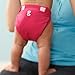 gDiapers Goddess Pink gPants, Medium (13-28 lbs)