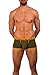 Lumber Collection - AnatoFREE Hipster Trunk - Cypress - Xlarge