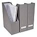 Bigso Viktoria Magazine Organizer - Durable Magazine Holder for Papers, Manuals and More with Metal Label Holder - File Organizer for Office Desks - 4in x 9.7in x 12.7in - Grey