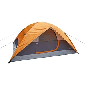 Amazon Basics Tent.