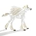 Safari Ltd – Baby Pegasus - Realistic Hand Painted Toy Figurine Model - Quality Construction from Safe and BPA Free Materials - For Ages 3 and Up