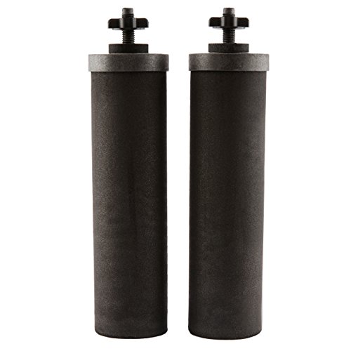 Berkey BB9-2 Replacement Black Purification Elements, Set of 2