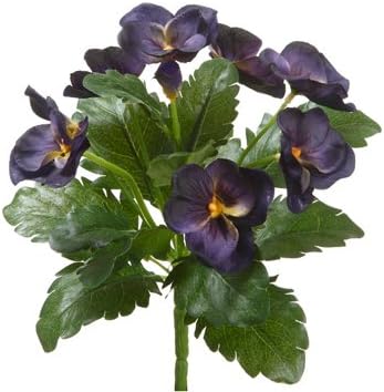 8" Pansy Bush Eggplant (Pack of 12)