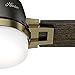 Hunter 59220 Ceiling Fan, Small, Noble Bronze/Modern Brass