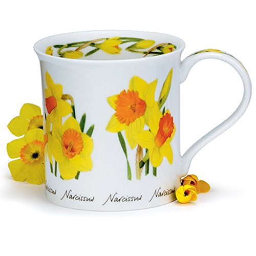 Dunoon Bone China Spring & Summer Flowers Bute Mug (Daffodil)