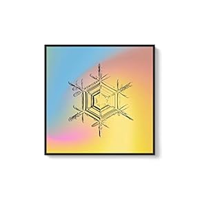 Framed Canvas Wall Art for Living Room, Bedroom Snowflake Theme Canvas Prints for Home Decoration Ready to Hang - 16x16 inches