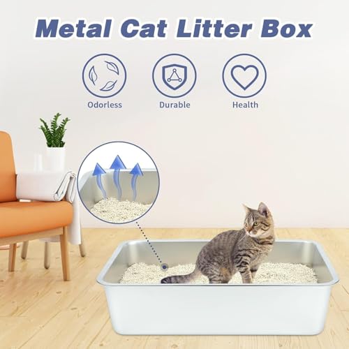 Stainless Steel Cat Litter Box - Large Litter Box for Big Cats - Easy to Clean, Never Absorbs Odor, Stains, or Rusts - Silver (17.7" L x 13.5" W x 6" H)