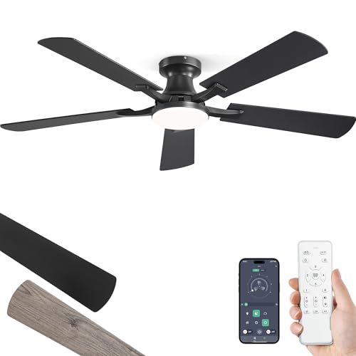 ZMISHIBO 52 Inch Ceiling Fan