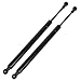 Maxpow Qty (2) Rear Glass Gas Charged Lift Support Struts For 2004-2010 Volk...
