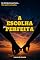 Livro A Escolha (Im)Perfeita