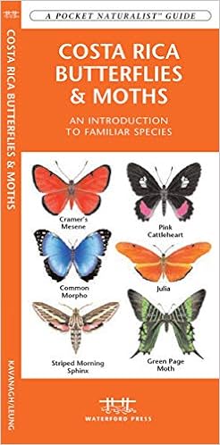 How Many Species Of Moths Are There In The Uk