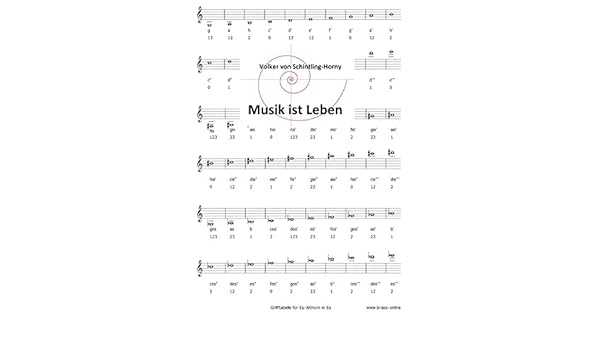 Get Musik ist leben Desktop Wallpaper Free