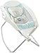 Fisher-Price Deluxe Rock 'n Play Sleeper, Moonlight Meadow