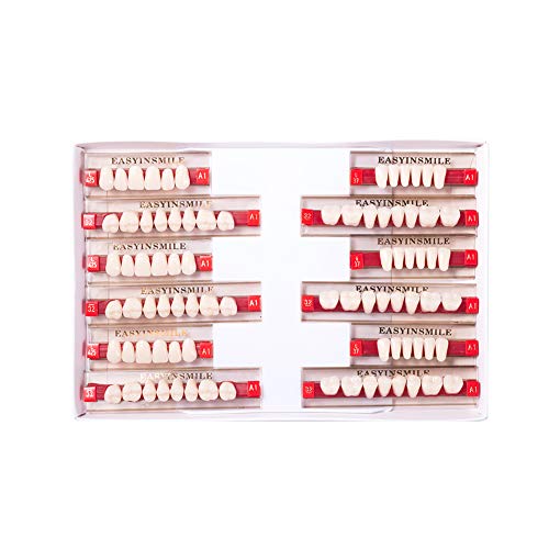 Easyinsmile Dental Synthetic Resin Teeth Acrylic Denture False Tooth for Adults Full Set/Anterior/Posterior (Full Set 425+U37+32, A1)