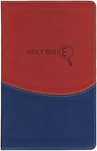 Holy Bible: New Revised Standard Version with Apocrypha Kids Study Bible