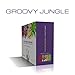 Groovy Jungle Foot Pads (24pc) | FDA Certified | New Formula