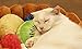 S-Lifeeling Fashion Pet Cushion Bed Detachable Updated Version Winter Plush Nest Kennel Lovely Tart Warm Comfortable Extended Dog Mat Pad Cat Mat