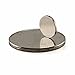 ZJWEI Small Multi-Use Refrigerator Magnets for Refrigerator, Science, Crafts - Tiny Round Disc, Sliver, 10MM x 1MM - Approximately, 60Pcs
