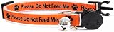 ZACAL Worded Cat Collar Please Do Not Feed Me Microchipped Orange Pack 1 view 2