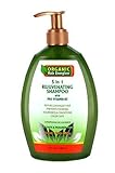 Organic Hair Energizer 5 in 1 Rejuvenating Shampoo by Organic Hair Energizer, 13 oz