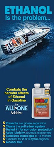Biobor EB, Ethanol Buster and Performance Enhancer Gasoline Treatment, 1-Gallon