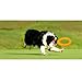 LaRoo Dog Flying Ring Frisbee Pets Flying Disc Non-Toxic Fitness Ring for Dogs - Orange