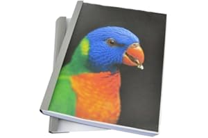 Coverbind Clear Linen Wrap-Around Thermal Binding Report Covers - 1/8 inch Spine, Letter Size, Gray, Portrait - Qty 90 (08CB18GRAY)