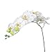 1 Piece Simulation Butterfly Orchid Artificial Flower Plant Home Decoration White