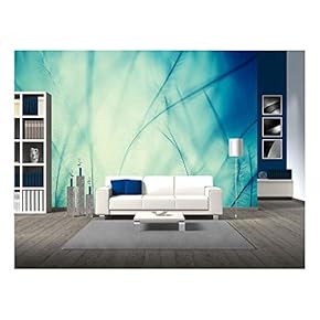 Plumage Background of Bird Closeup - Removable Wall Mural | Self-Adhesive Large Wallpaper - 66x96 inches